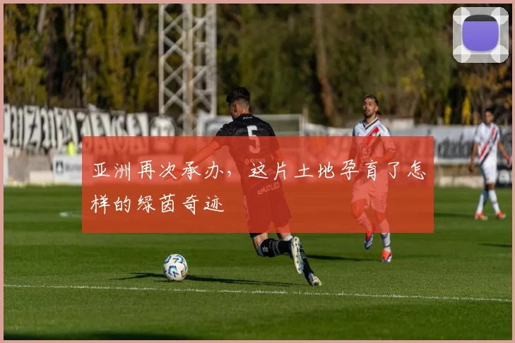 亚洲再次承办，这片土地孕育了怎样的绿茵奇迹